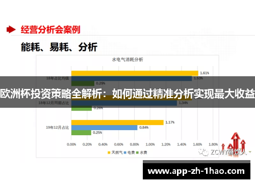 欧洲杯投资策略全解析：如何通过精准分析实现最大收益