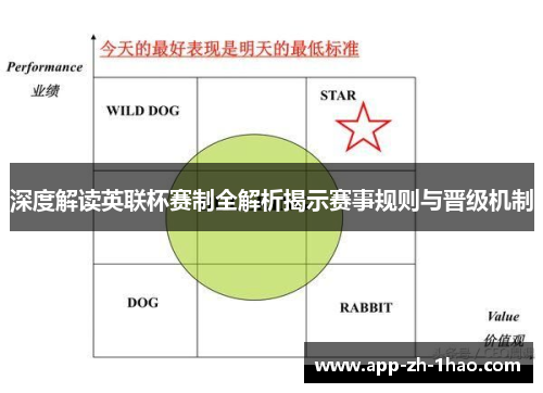 深度解读英联杯赛制全解析揭示赛事规则与晋级机制