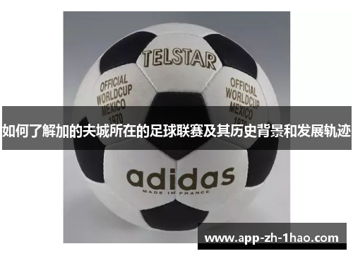 如何了解加的夫城所在的足球联赛及其历史背景和发展轨迹