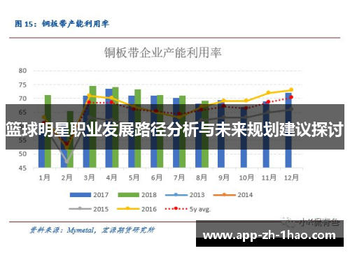 篮球明星职业发展路径分析与未来规划建议探讨