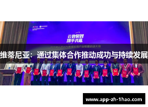 维蒂尼亚：通过集体合作推动成功与持续发展